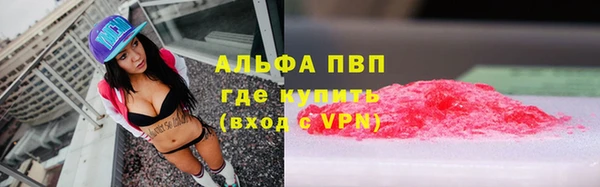 PSILOCYBIN Абаза