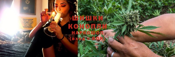 PSILOCYBIN Абаза